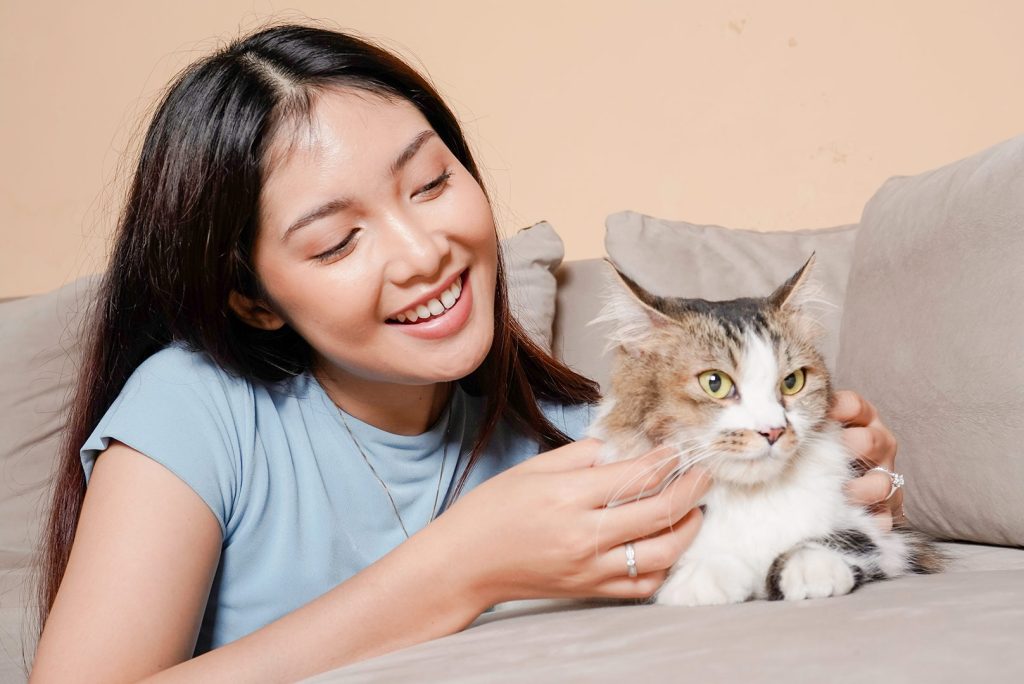 Cat Trivia: Exploring the Fascinating World of Allogrooming in Cats