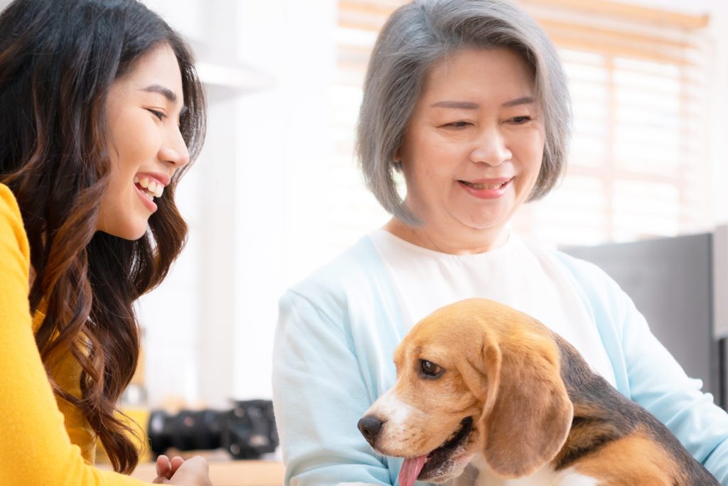 The Power of Dog Loyalty: Understanding the Bond Between Dogs and Their Owners